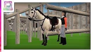 Horse Jumping Show 3D Horse Game [upl. by Anirtac]