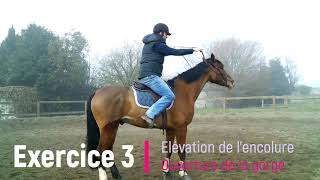 6 exercices pour réussir à placer votre cheval [upl. by Rosenquist]