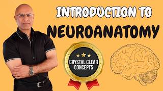 Intro to Neuroanatomy  Neurophysiology  Neuroscience  Central Nervous System [upl. by Suillenroc220]