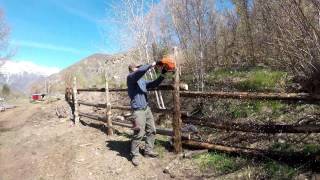 Lodge Pole Fencing Around the Homestead Pasture [upl. by Harwell]