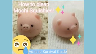 How to Clean Mochi Squishy Toys  Autistic Survival Guide [upl. by Leuqcar303]