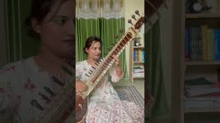 Piku sarod theme [upl. by Anesor]