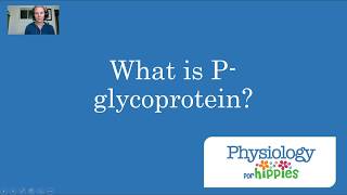 What is Pglycoprotein [upl. by Jeffcott181]