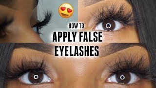 How to Apply Strip Lashes Quick amp Easy  BEGINNER FRIENDLY ♡ [upl. by Stan]