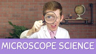 How Do Microscopes Work MICROSCOPE Science [upl. by Daht]