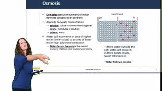 Cell Physiology Membrane Transport [upl. by Sosthenna]