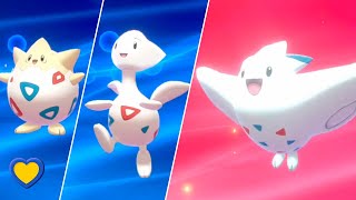 HOW TO Evolve Togepi into Togekiss in Pokémon Sword and Shield [upl. by Annaej971]