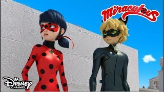 La film  Miraculous Buburuza și Motan Noir  Disney Channel România [upl. by Braswell504]