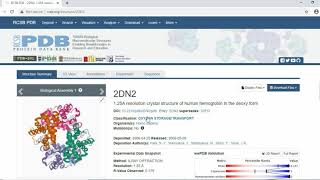 How to download protein structure tutorial  Bioinformatics  RCSB PDB [upl. by Heber]