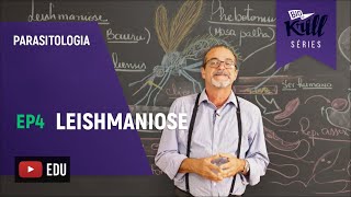 Leishmaniose Parasitologia  EP 4  Biokrill Series [upl. by Ashwin]