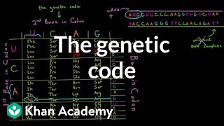 The genetic code [upl. by Lanford]