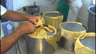 VIDEO ELABORACIÓN ARTESANAL QUESOS DE PASTA DURA [upl. by Novelc]