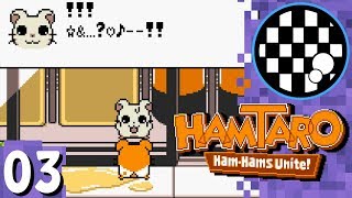 Hamtaro Ham Hams Unite  PART 3 [upl. by Riancho]