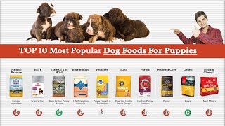 Top 10 Most Popular Dog Foods For Puppies Reviewed By Dog Food Judge 🏆 [upl. by Annoeik479]