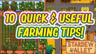 Improve Your Farm With These 10 Farming Tips  Stardew Valley [upl. by Steele]