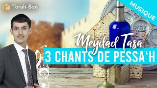 3 Chants de Pessah avec Meydad Tasa amp TorahBox [upl. by Skipp]