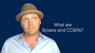 What are Bylaws and CCampRs [upl. by Sharla]