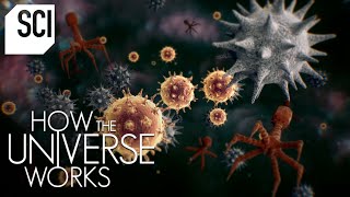 The Invisible Microcosmos  How the Universe Works [upl. by Llebyram]