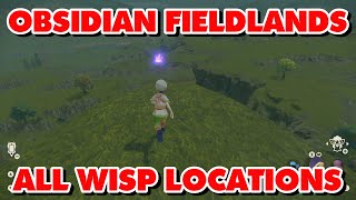 Obsidian Fieldlands Wisp Locations [upl. by Smart]