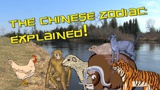 Chinese Zodiac Explained  Learn Chinese Now [upl. by Girhiny680]