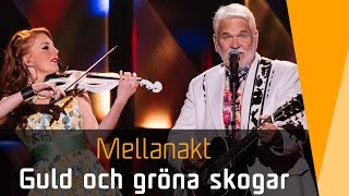 Hasse Andersson – Guld och gröna skogar  Melodifestivalen 2016 [upl. by Anyt144]