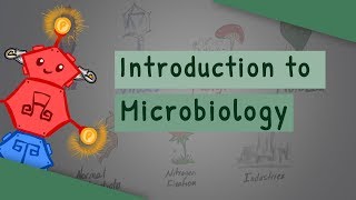 Introduction To Microbiology [upl. by Stanwin574]