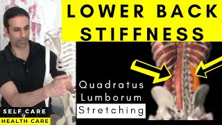 Side Low back PAIN amp TIGHTNESS Stretch Quadratus Lumborum [upl. by Dagny819]