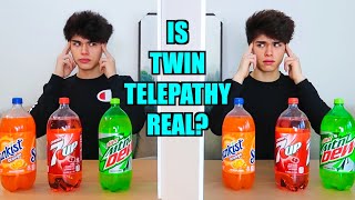 REAL TWIN TELEPATHY TEST [upl. by Ellehcer]