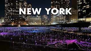 Field of Light at Freedom Plaza NYC Light Show [upl. by Eleph]