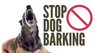 How To Quickly Stop Dog Barking [upl. by Beulah]