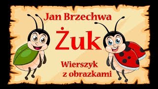 đźžđźžđźžĹ»uk  Jan Brzechwa  wierszyk bajka animacja dla dzieci [upl. by Llevert]