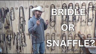 Bridle VS Snaffle  Something You May Not Have Known [upl. by Ennyleuqcaj]