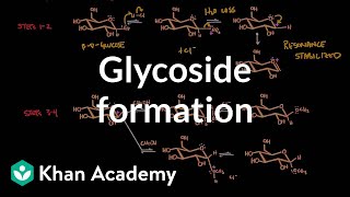 Carbohydrate  Glycoside formation hydrolysis  Chemical processes  MCAT  Khan Academy [upl. by Wanids]