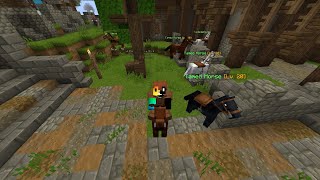 Stable Story  A Wynncraft Guide [upl. by Rowney297]