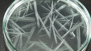 Fast Crystallization Experiment [upl. by Temme]