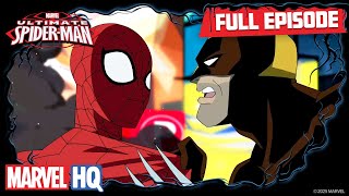 Freaky  Ultimate SpiderMan S1 E10  Full Episode [upl. by Pascia60]