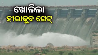 Hirakud Dam Opens 5 Sluice Gates Today  Kalinga TV [upl. by Lledra]