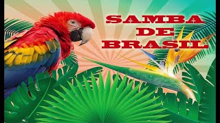 SAMBA DE BRASIL [upl. by Assel]