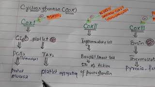 NSAID Pharmacology introduction [upl. by Adyan]