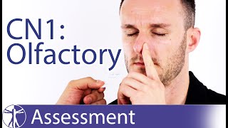 Cranial Nerve 1  Olfactory Nerve Assessment for Physiotherapists [upl. by Akiner]