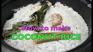 How to make Nasi Lemak Rice in a Rice Cooker  Coconut Rice  Recipe In Description [upl. by Nnep]