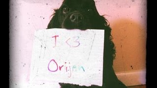 Orijen  Dog Food Review [upl. by Ondrea]