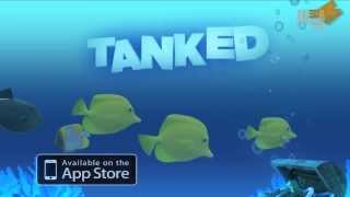 Tanked Aquarium Game [upl. by Nyladam]