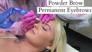 TATTOOED EYEBROWS quotPowder Browquot Experience Before amp After  ARTFUL BEAUTY [upl. by Yffat591]