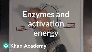 Enzymes and activation energy  Biomolecules  MCAT  Khan Academy [upl. by Anirres]