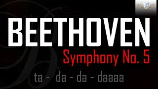 Beethoven Symphony No 5 [upl. by Gee768]