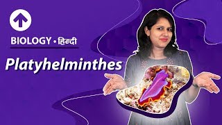 Platyhelminthes  Hindi  Diversity In Living Organisms  Biology Class 9 [upl. by Eenar459]