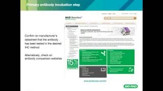 Mastering Immunohistochemistry Staining Experiments [upl. by Nonnah668]