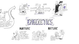 Epigenetics Nature vs nurture [upl. by Bennet]