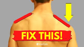 How to Fix a Low Shoulder at Home NO EQUIPMENT [upl. by Arakawa]